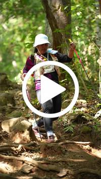 BIB:  <button type="button" onclick="openModal(27587880)" class="btn btn-primary btn-sm float-right" data-toggle="modal" data-target=".modal-high-quality">
                <i class="fa fa-download"></i> Download
                </button>